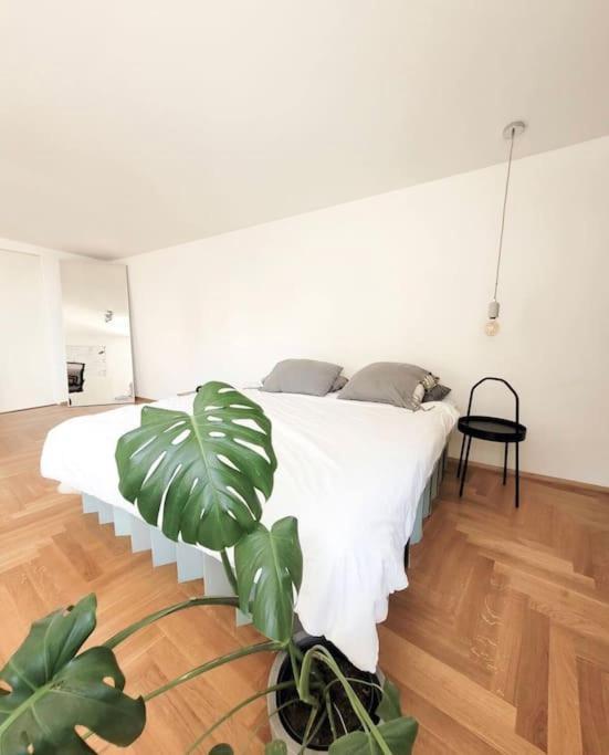 Beautiful In Appartement *